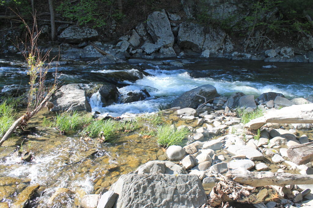 Photo: Below the Falls