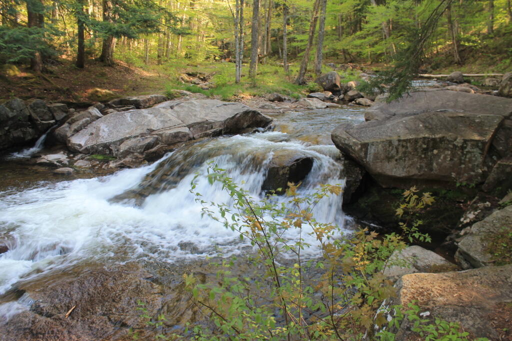 Photo: Above the Falls Photo: Above the Falls