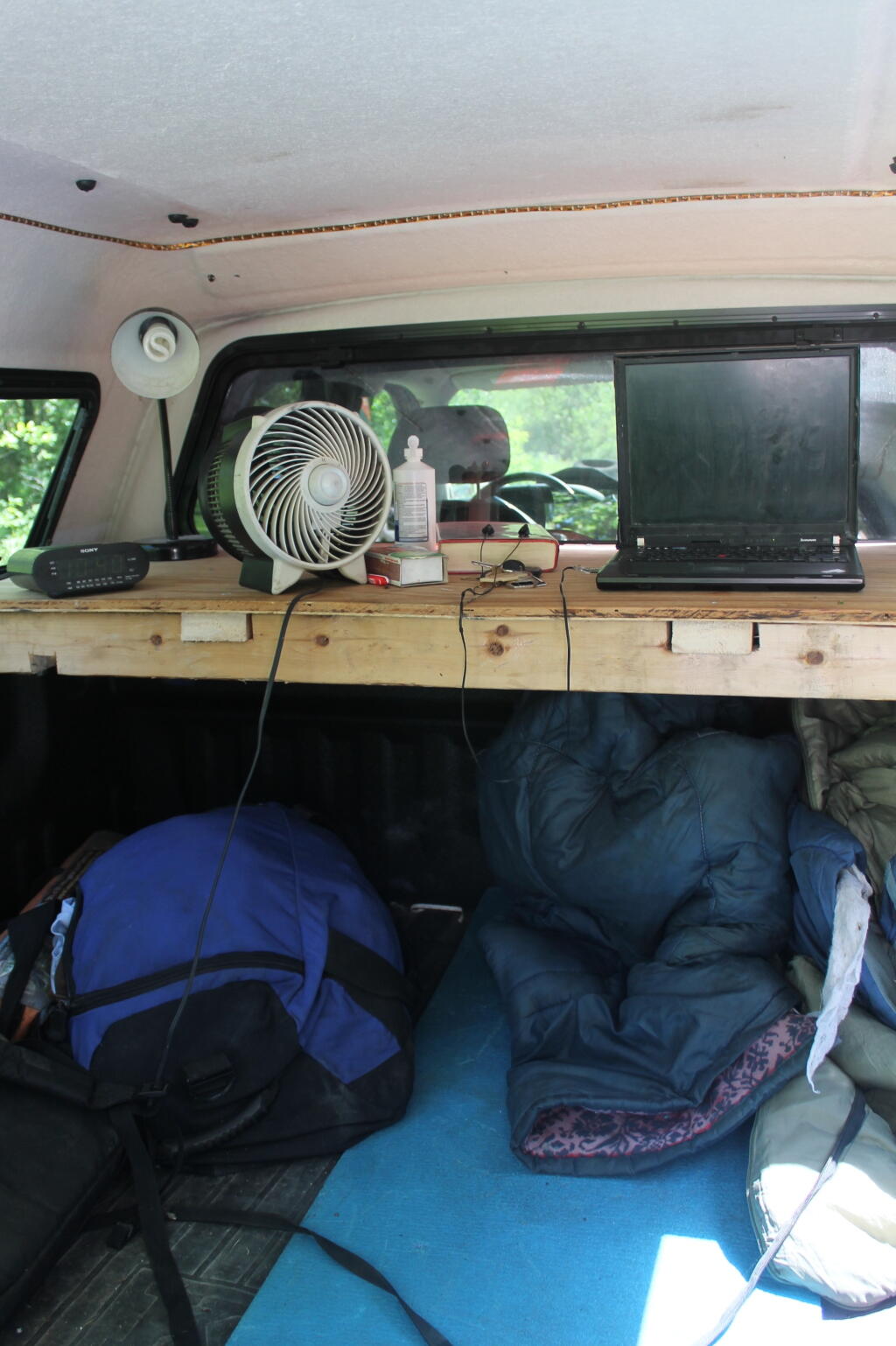 Photo: Hiding Out from Blackflies