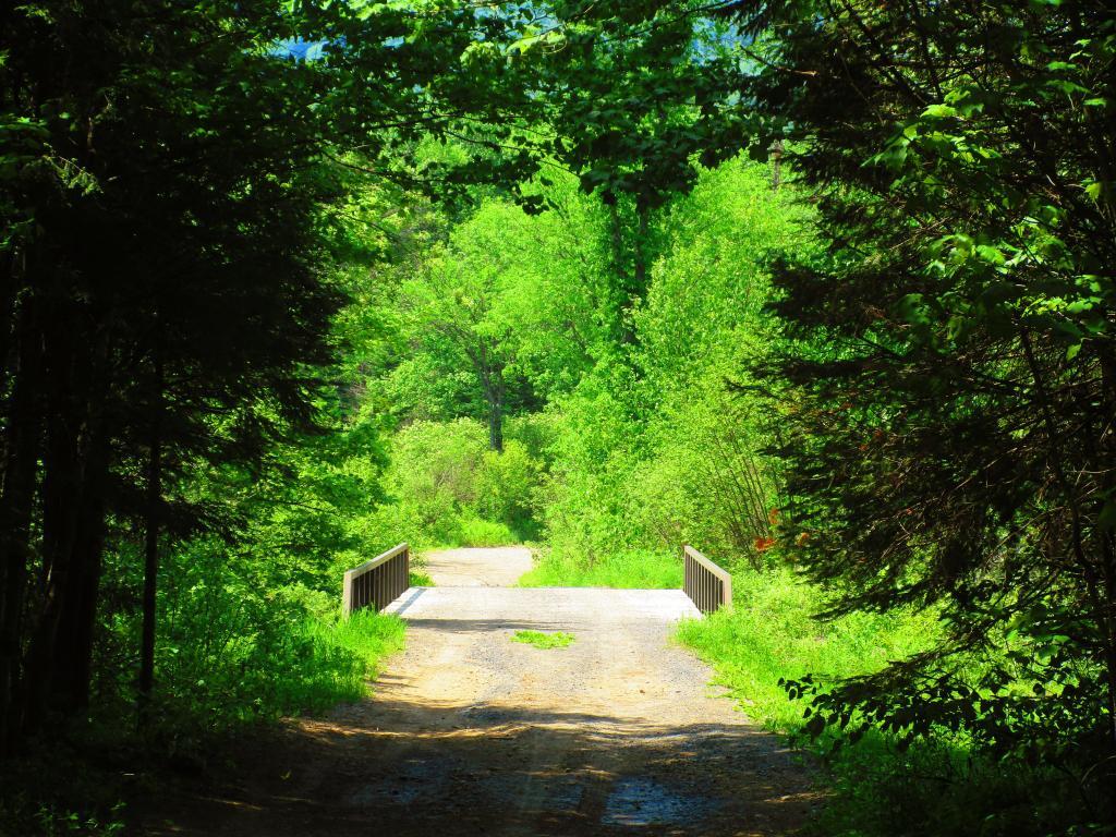 Photo: Cave Mountain Road Bridge Photo: Cave Mountain Road Bridge