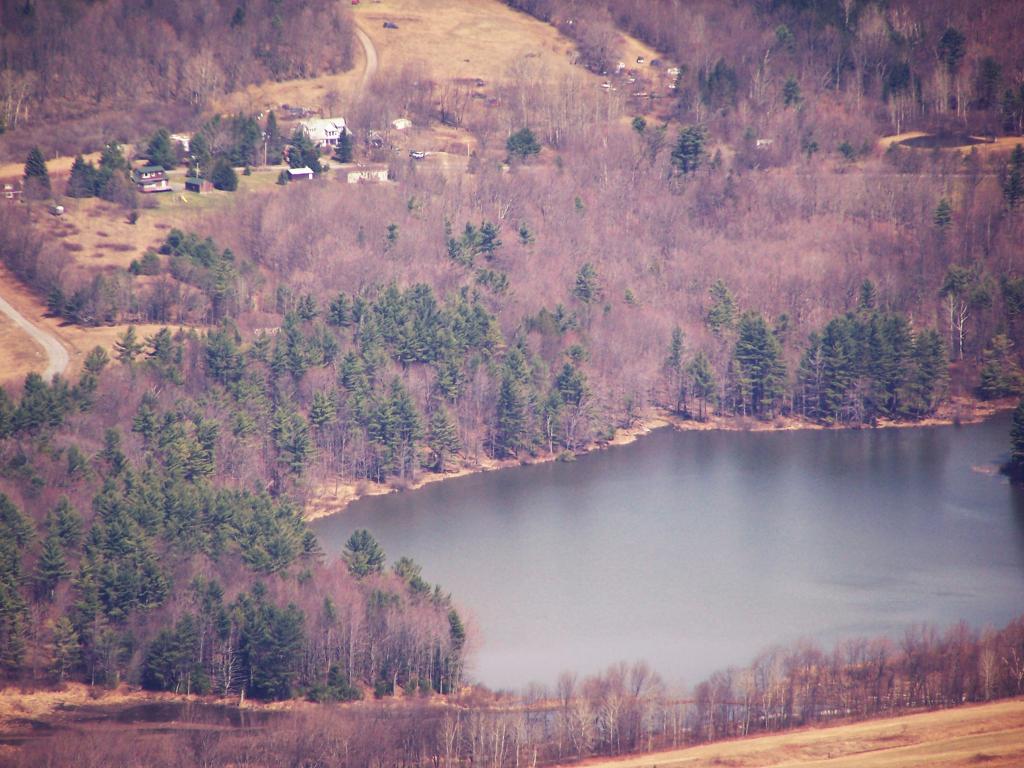 Photo: Mayham Pond