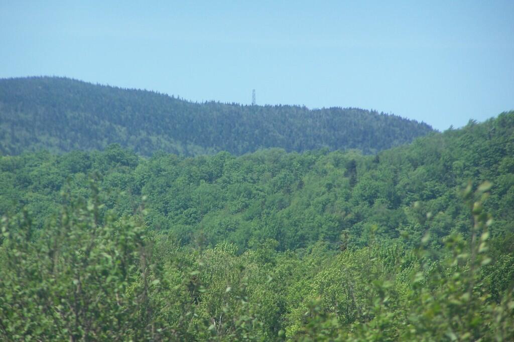 Photo: Wakely Fire Tower