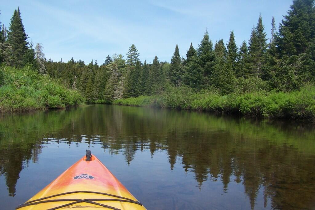 Photo: Along the River