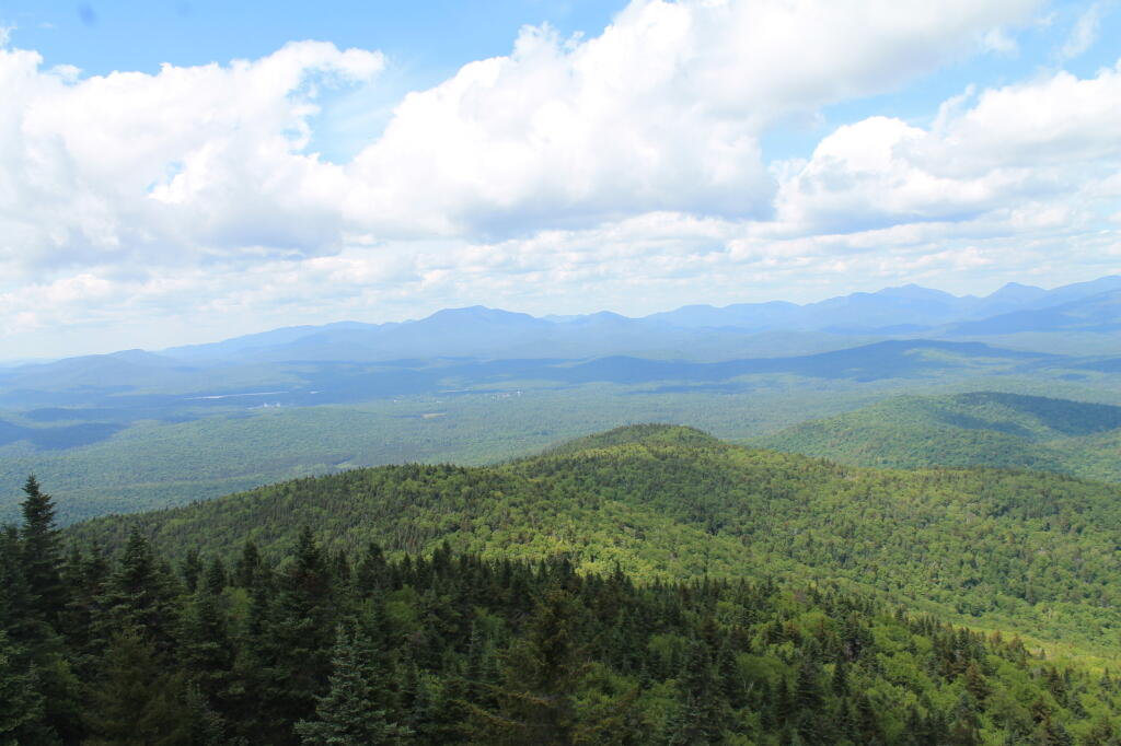 Photo: Blue and Green