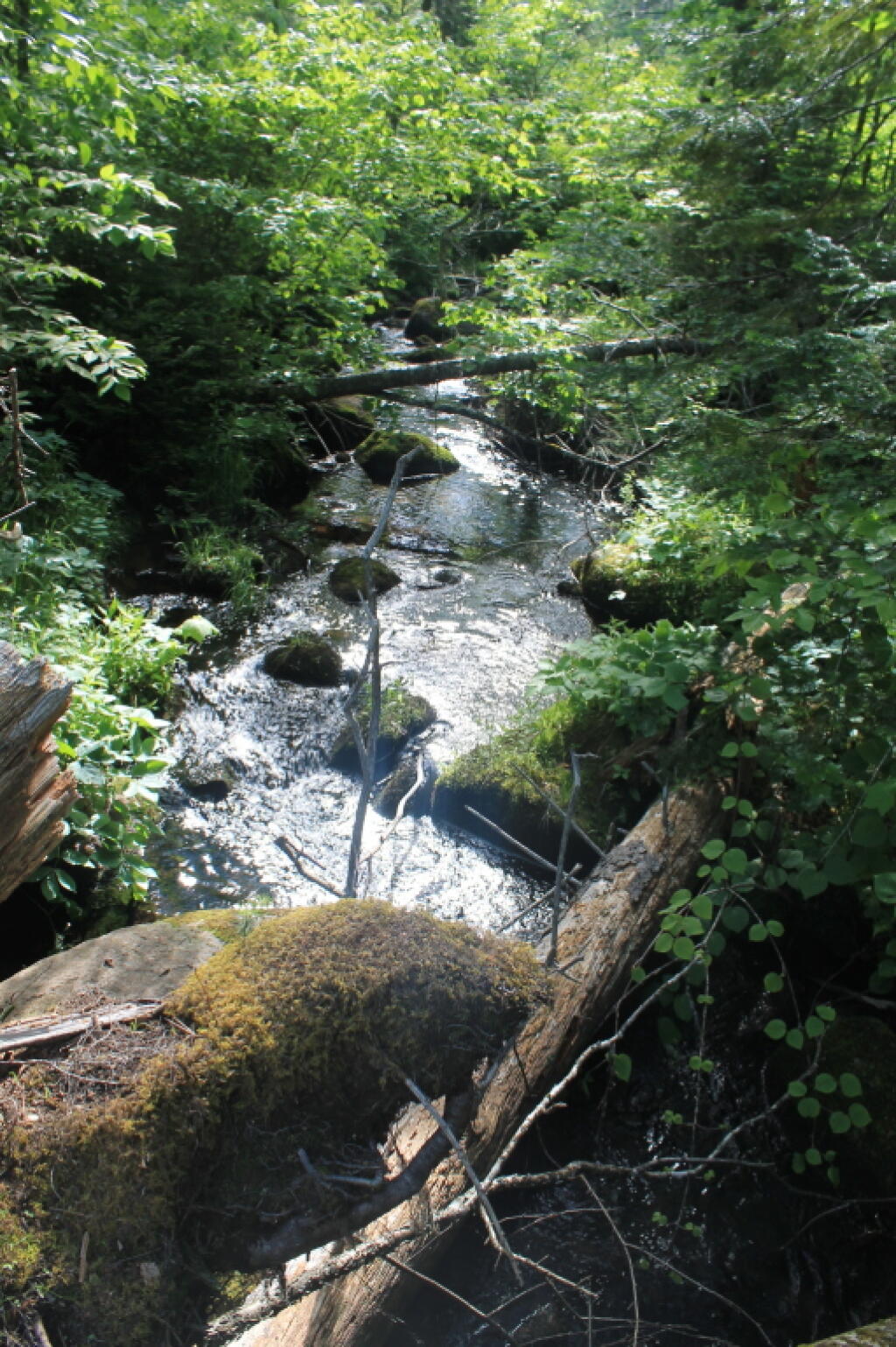 Photo: Creek