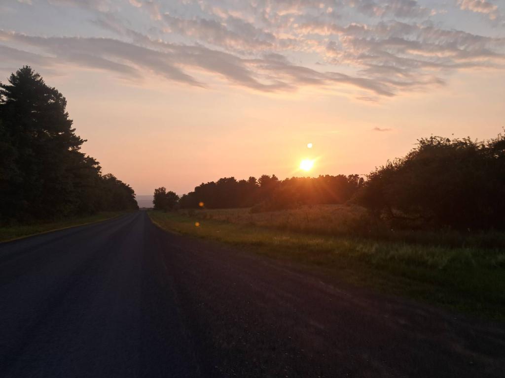 Photo: Untitled