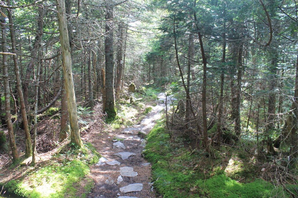 Photo: Along the Trail