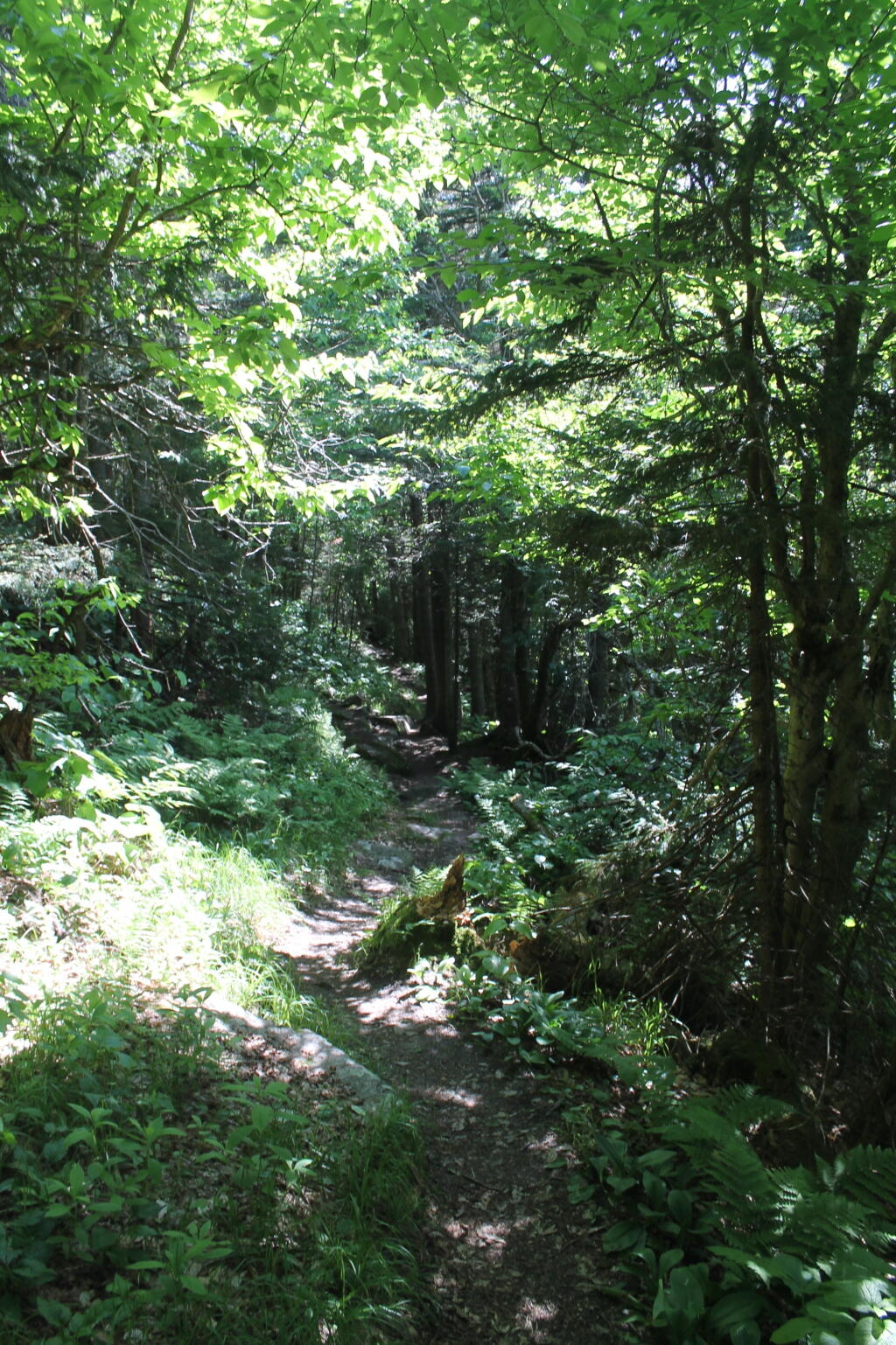 Photo: Along the Col