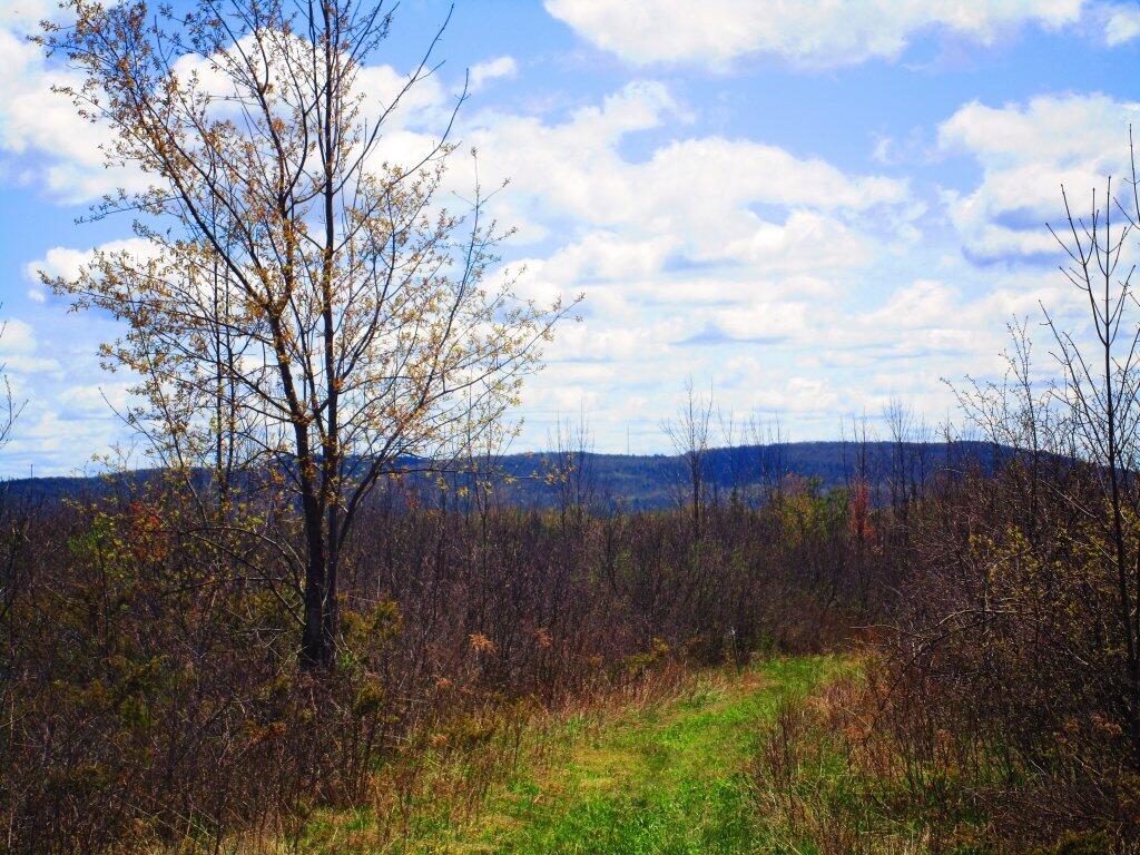 Photo: Beautiful Spring Day Photo: Beautiful Spring Day