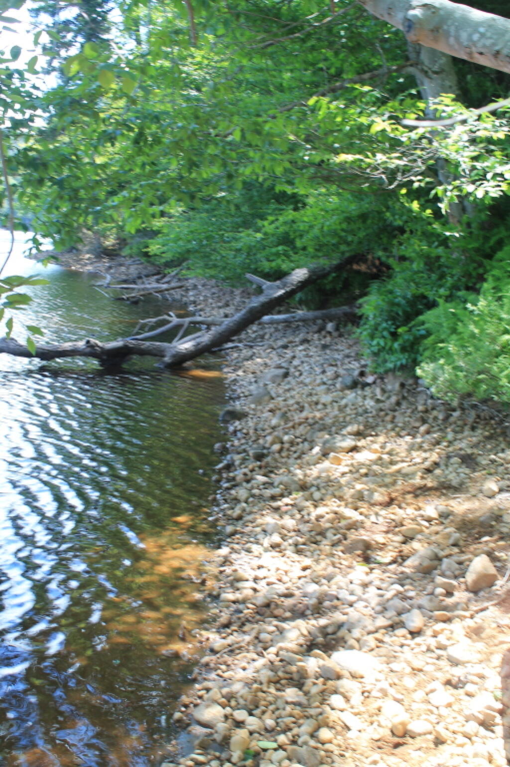 Photo: My Private Beach