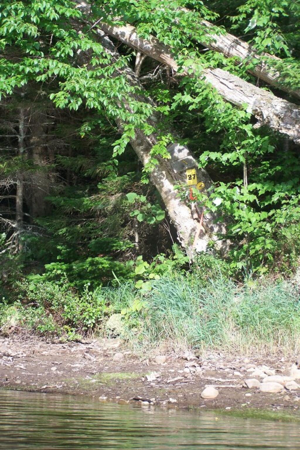 Photo: Paddle in Campsite 27