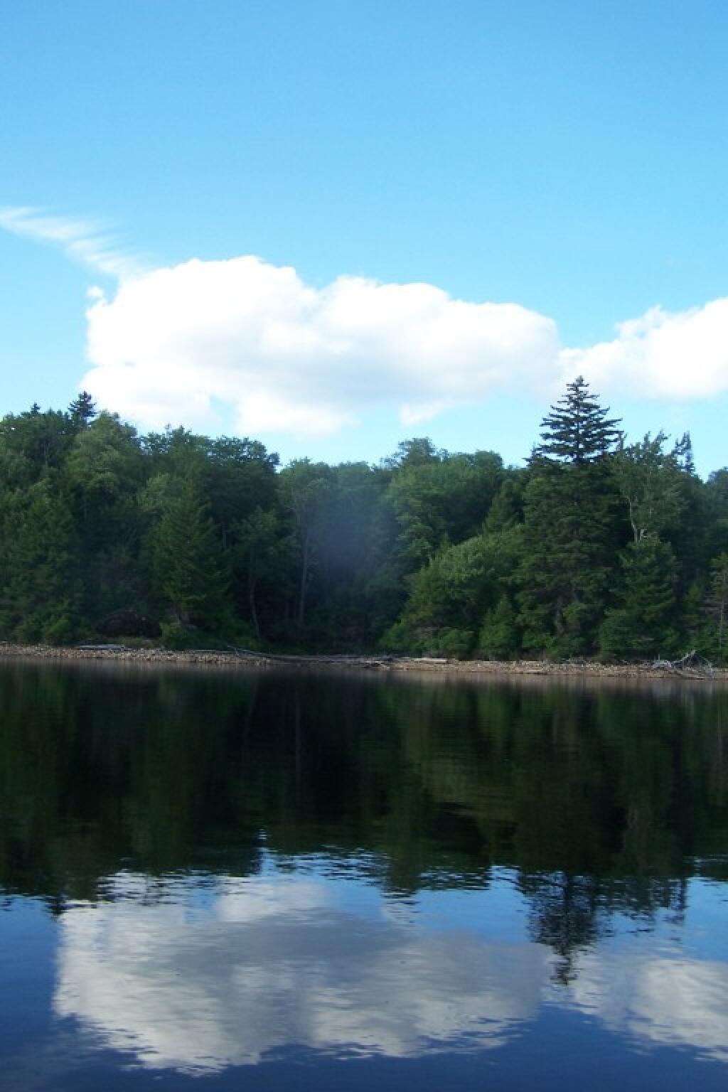 Photo: Northern Edge of Lake