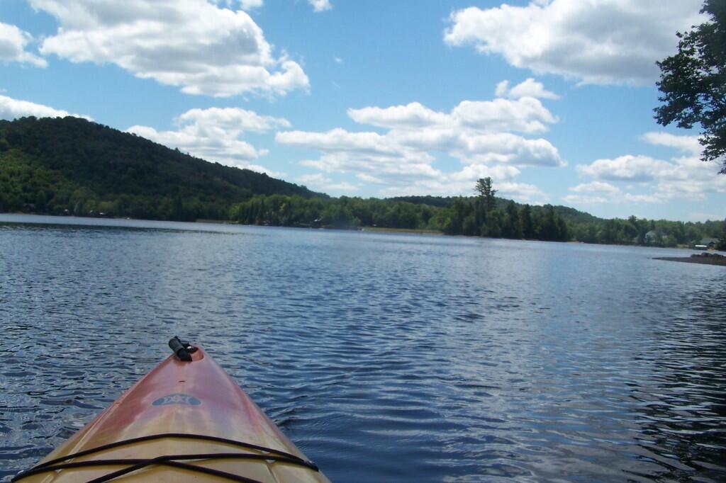 Photo: Paddling Along