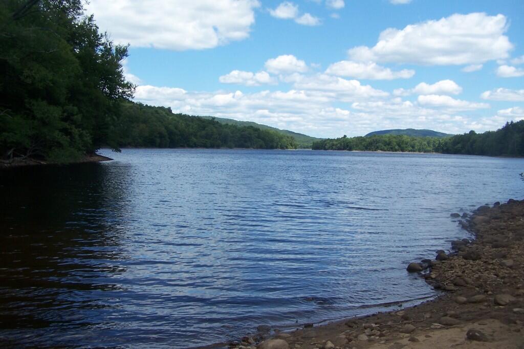 Photo: Edge of Lake