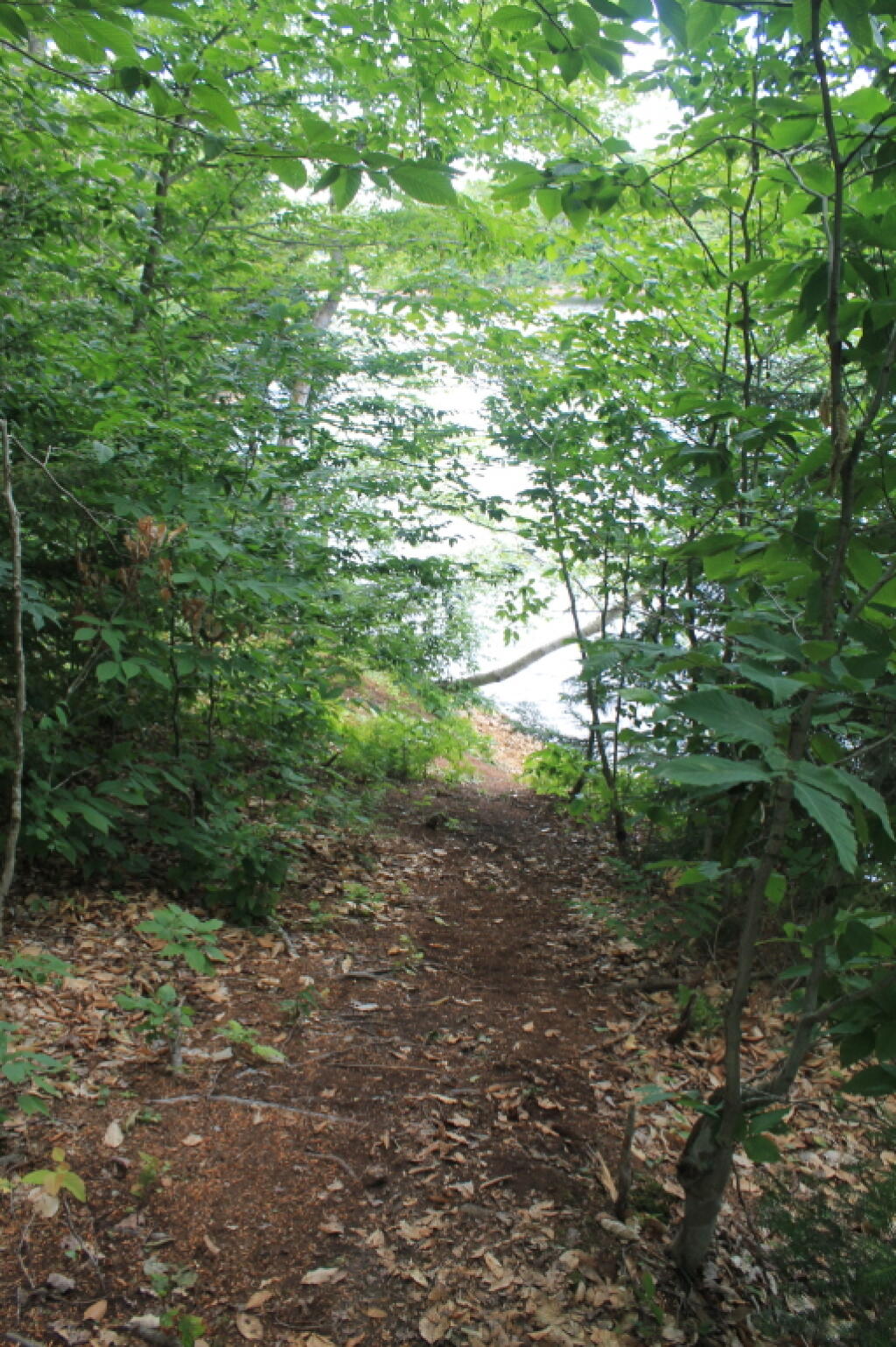 Photo: One Last Look Down the Steep Trail