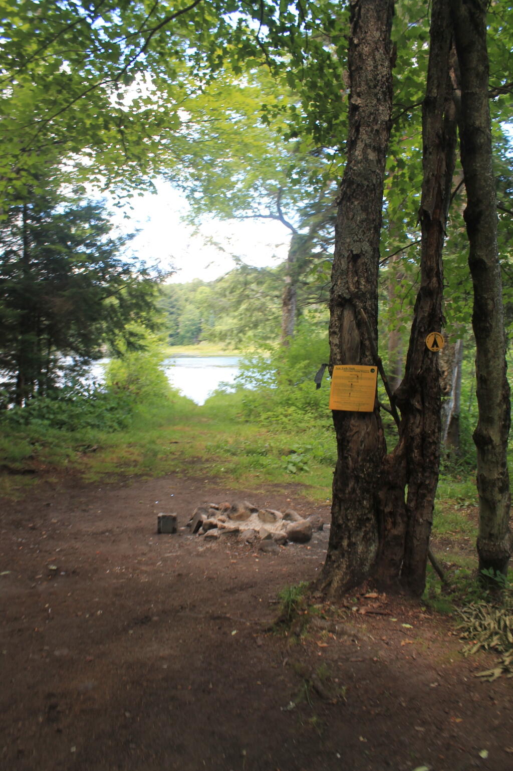 Photo: Campsite at Reeds Ponds