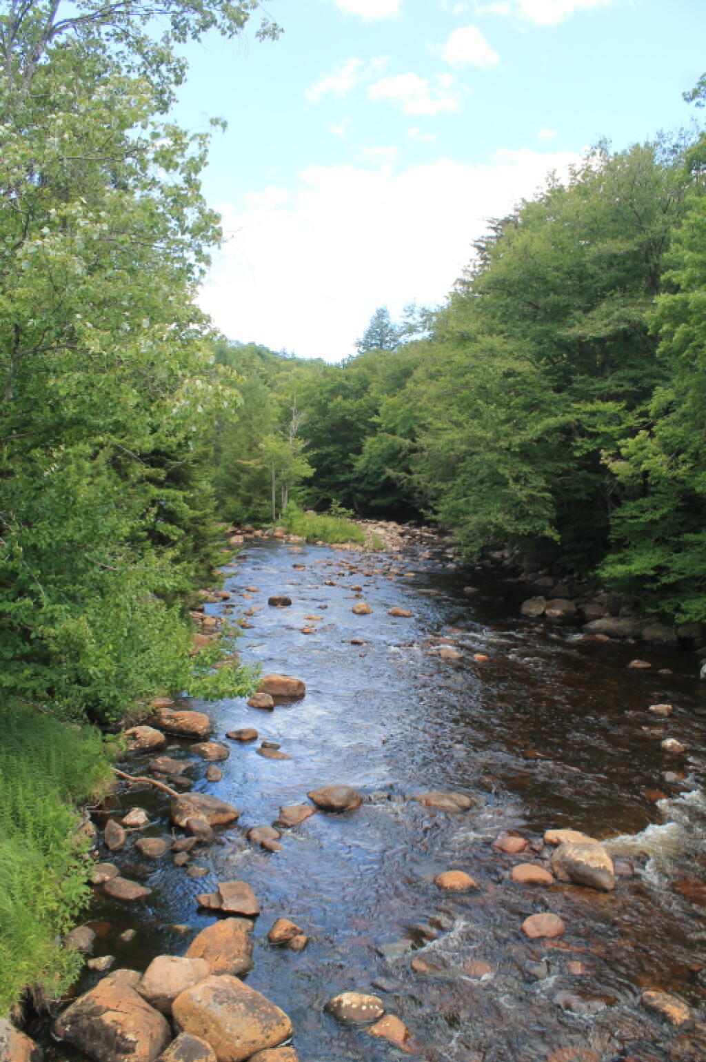 Photo: Black River