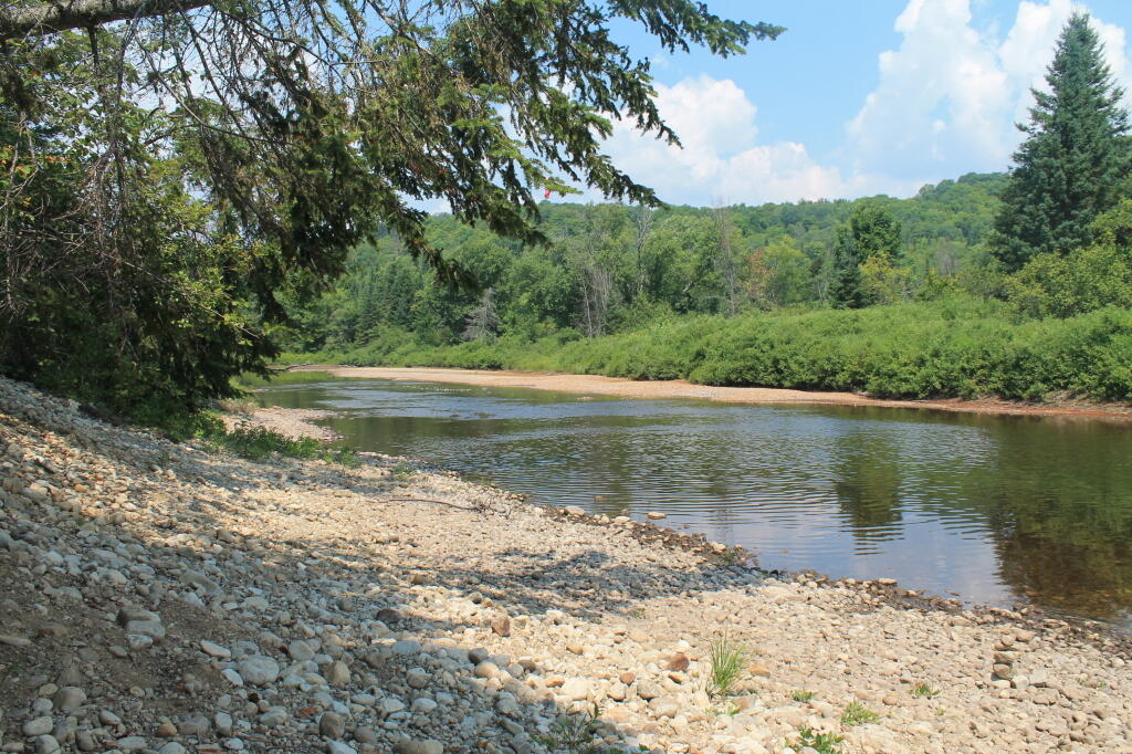 Photo: Dry Shoreline