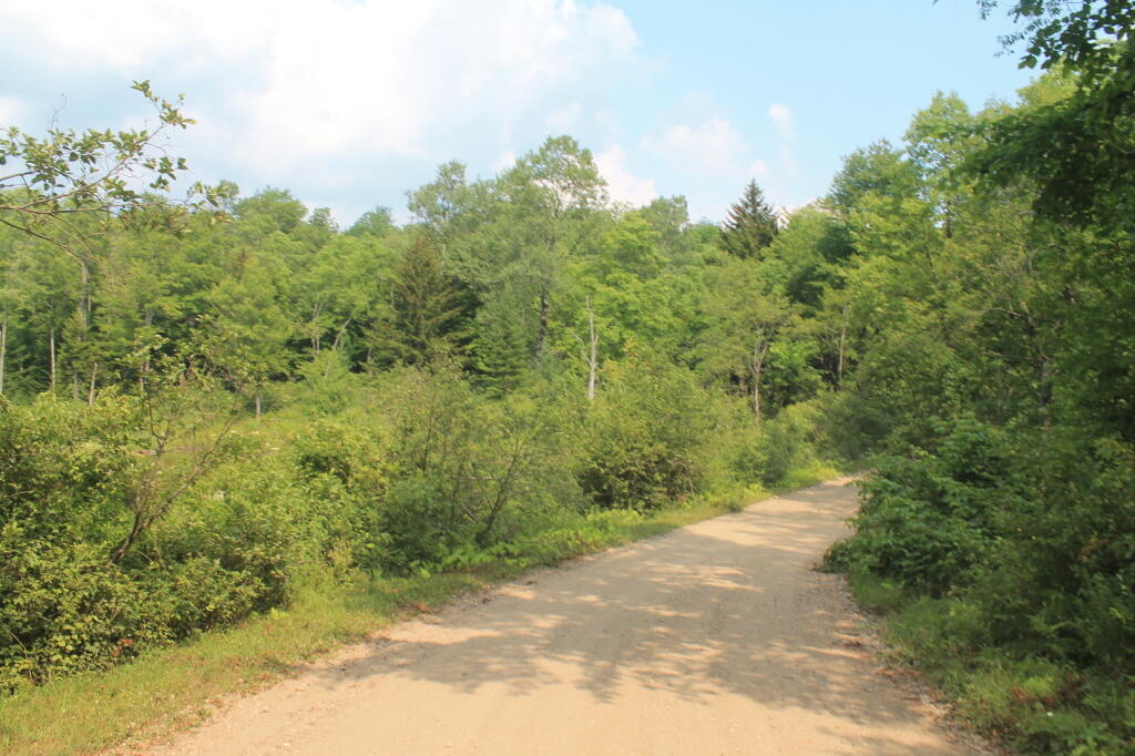 Photo: Whitehouse Road is in Perfect Shape