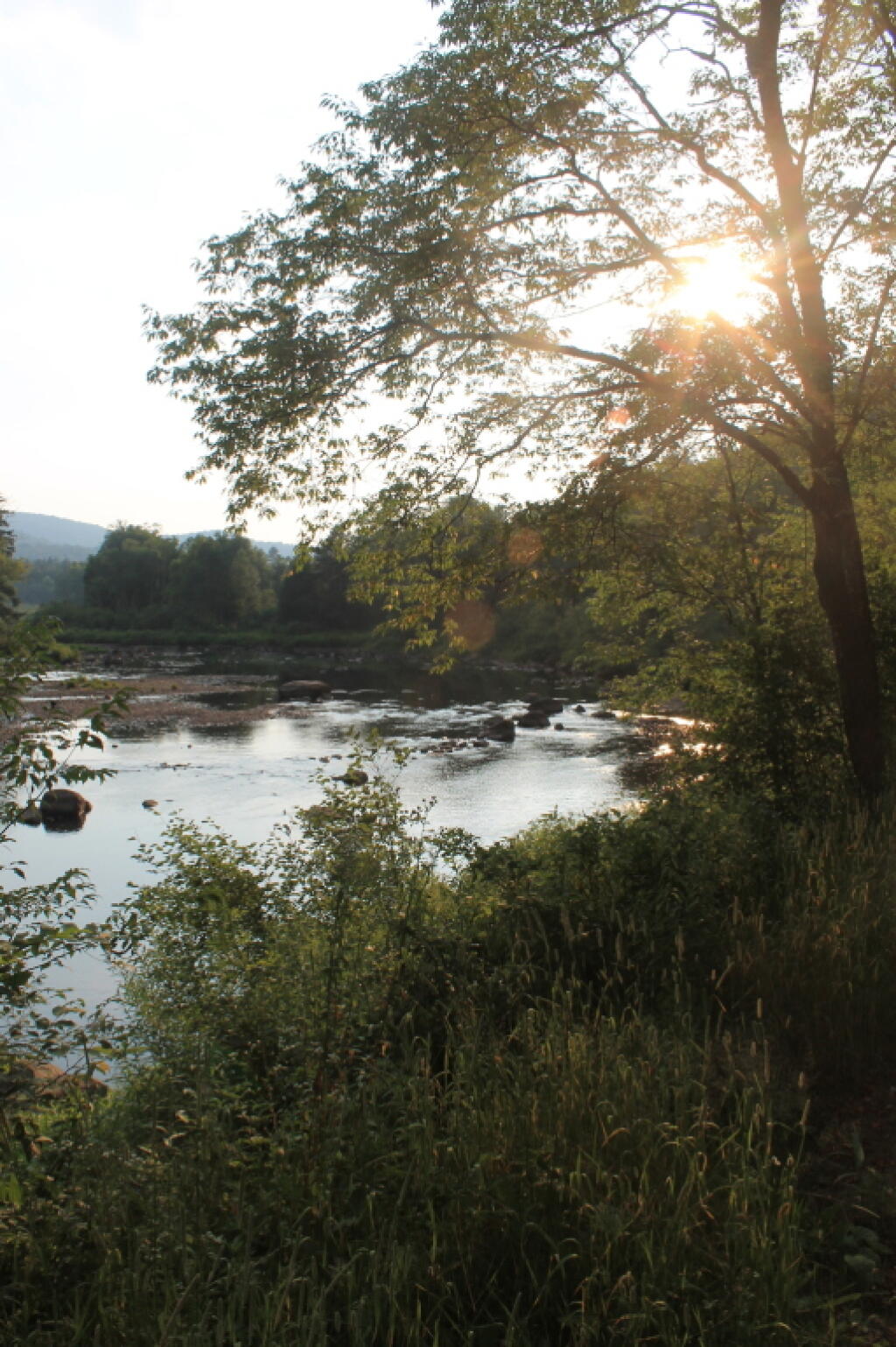 Photo: Setting Sun