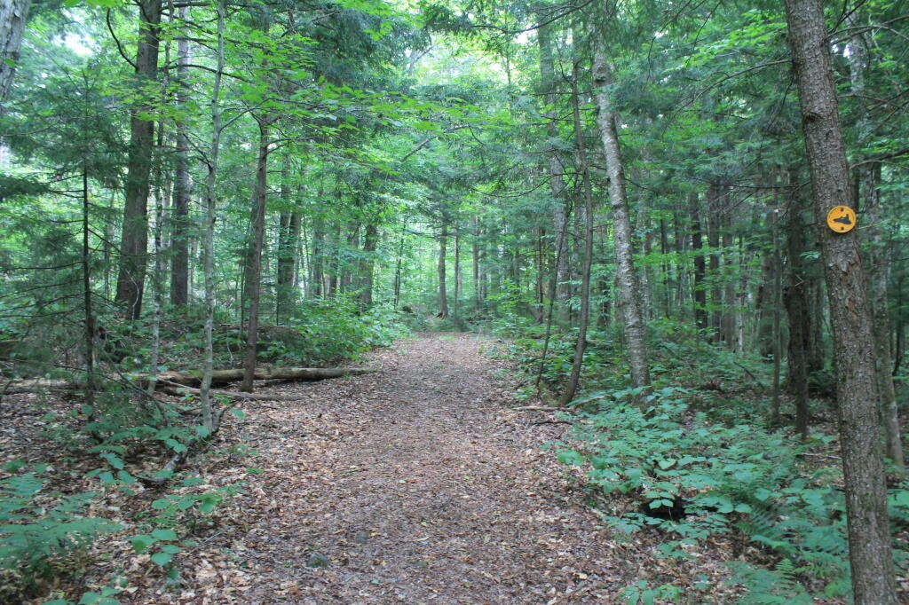 Photo: Auger Falls Snowmobile Trail