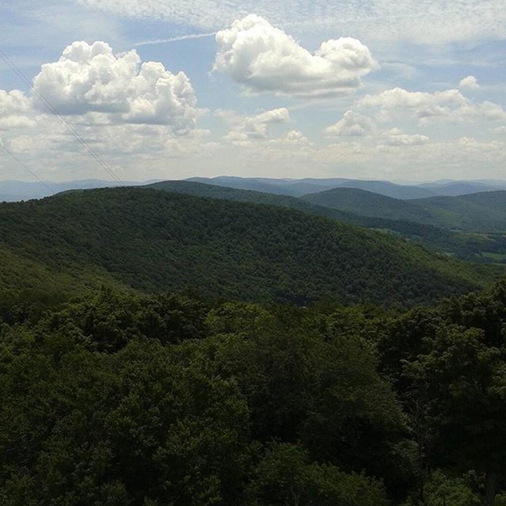 Photo: Catskill from the tower