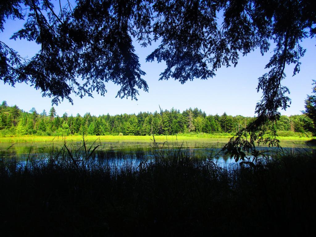Photo: East Canada Creek Below Edick Road Ledge