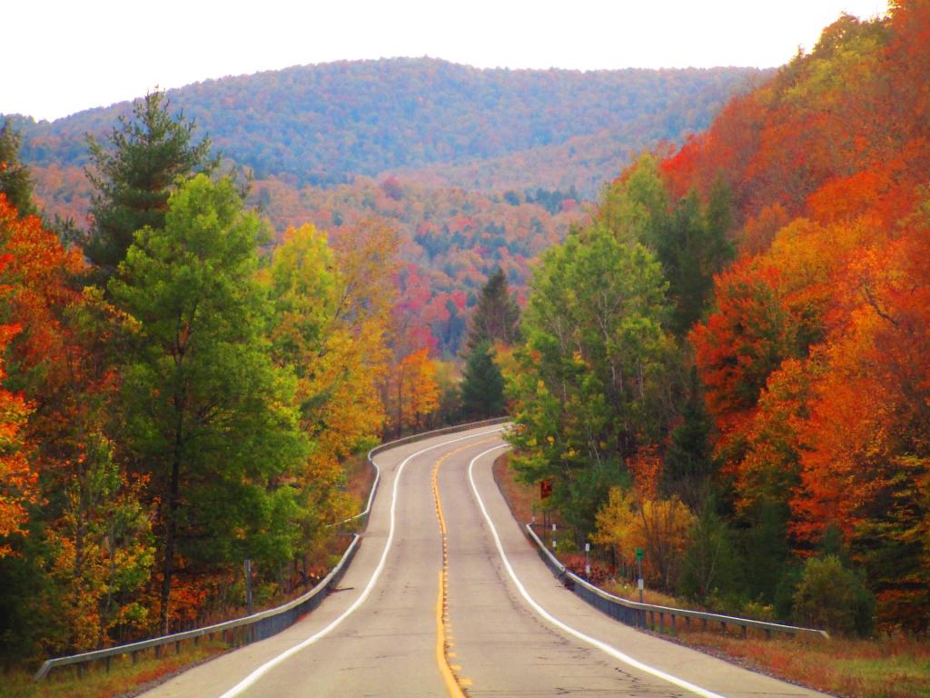 Photo: NY 10 in Shaker Place