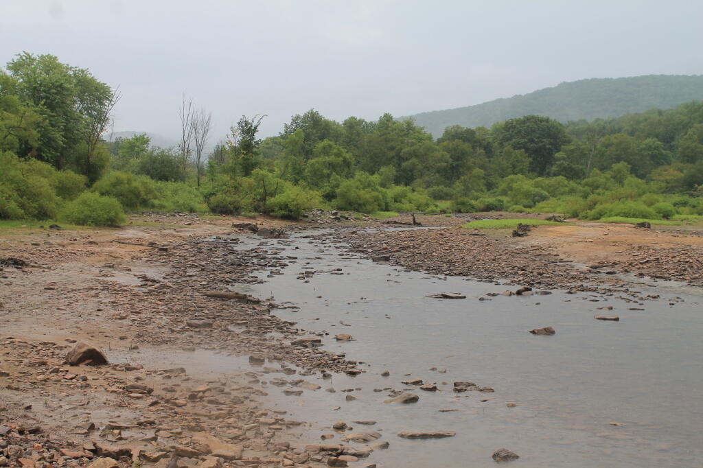 Photo: Sugar Run Outflow