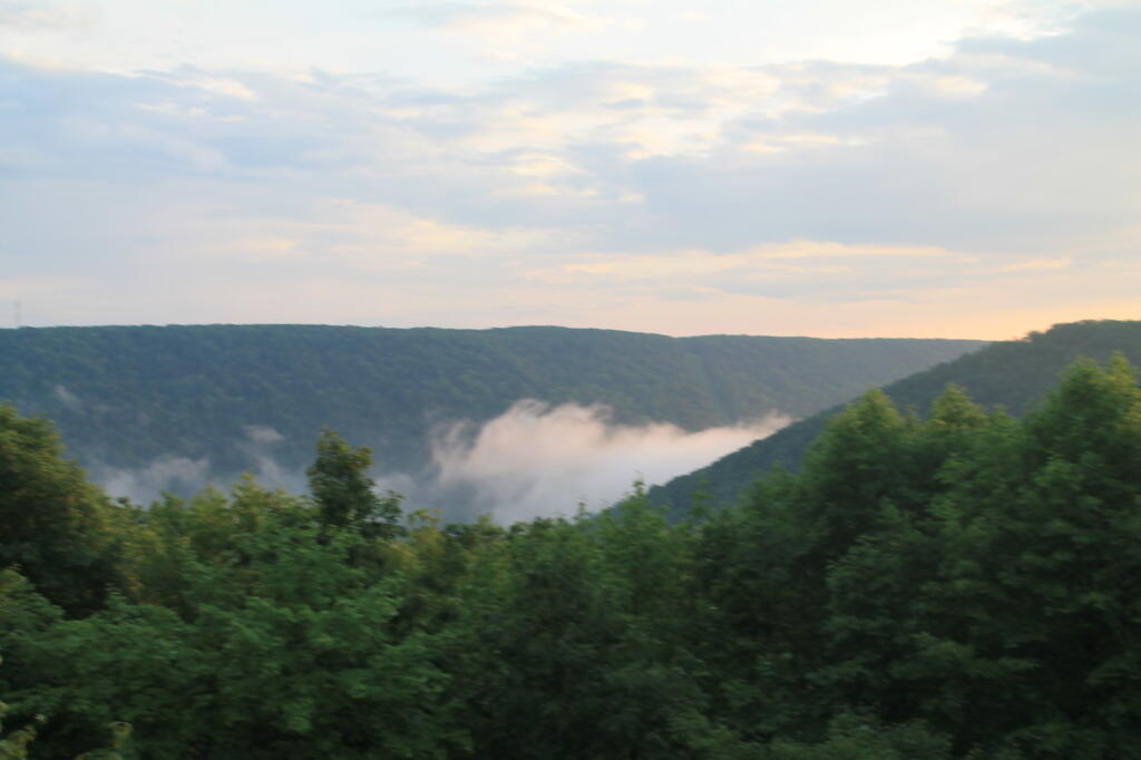Photo: Fog in the Valley