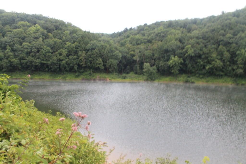 Photo: Tionesta Lake