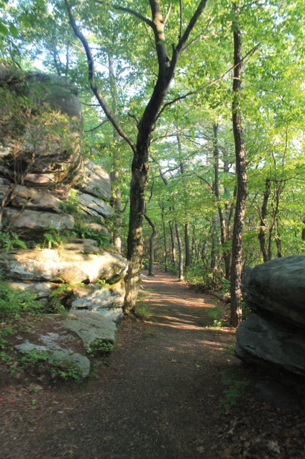 Photo: Wandering Along the Path