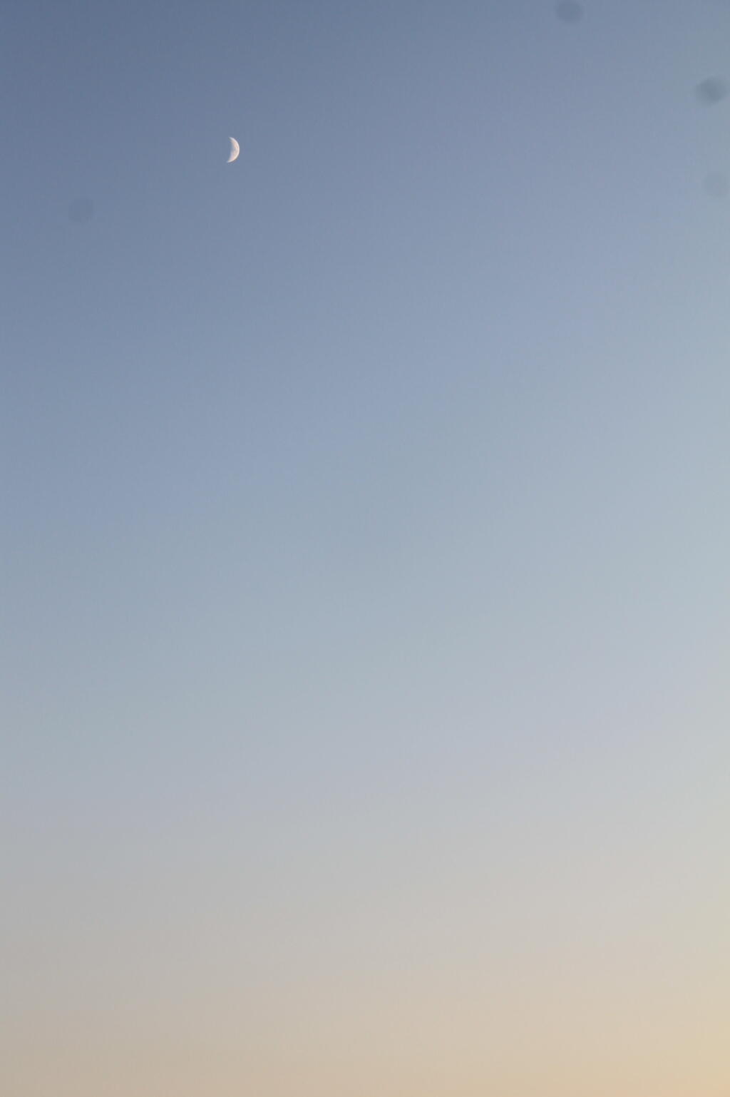 Photo: Moon
