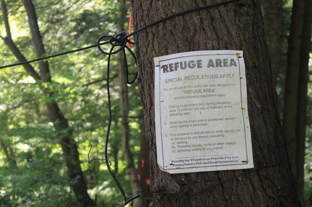 Photo: Refuge Area