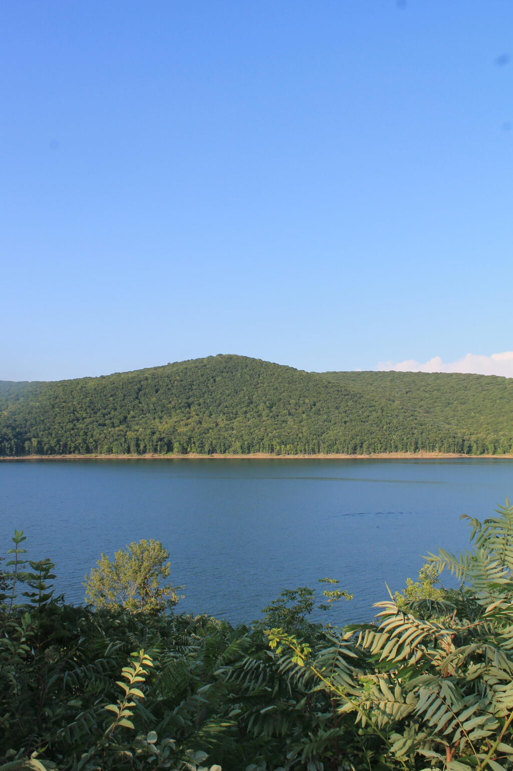 Photo: Kinzua Heights