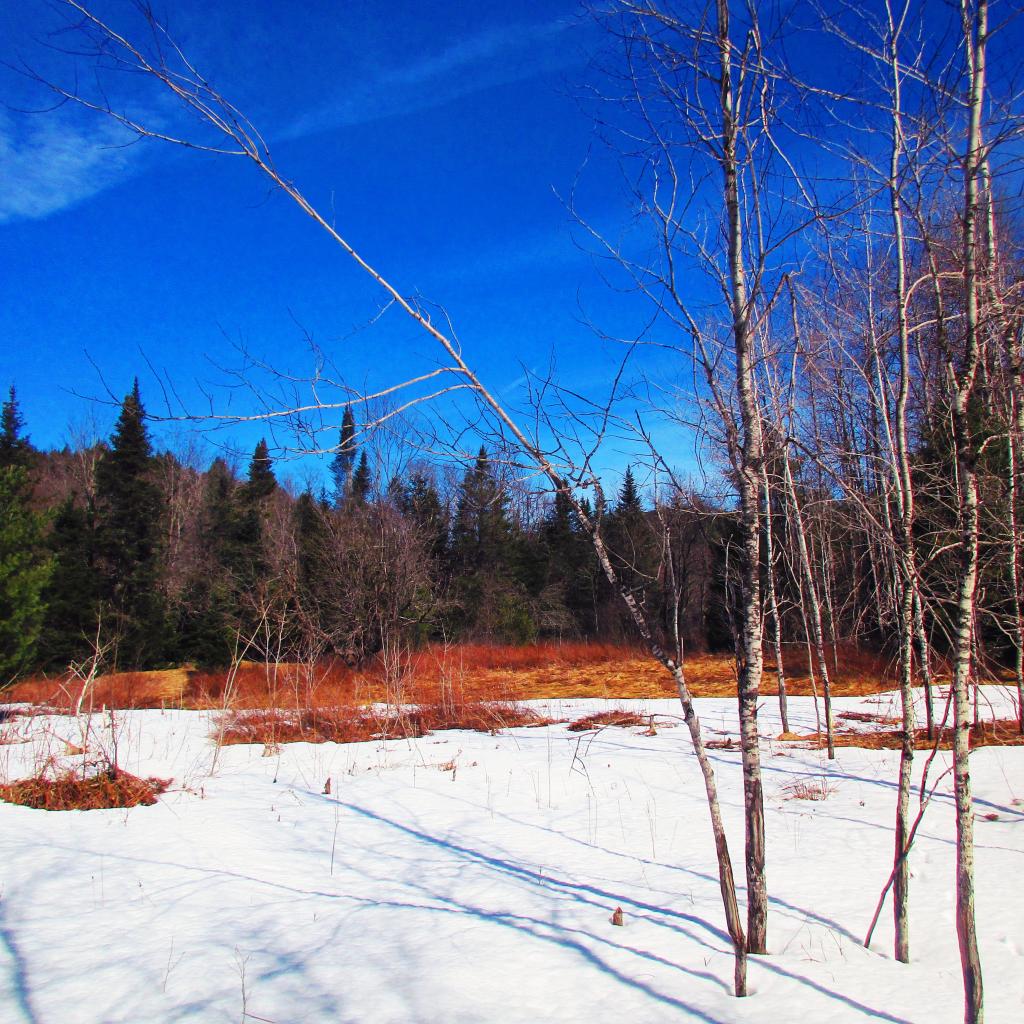 Photo: Bright But Cold Day Exploring Fox Lair
