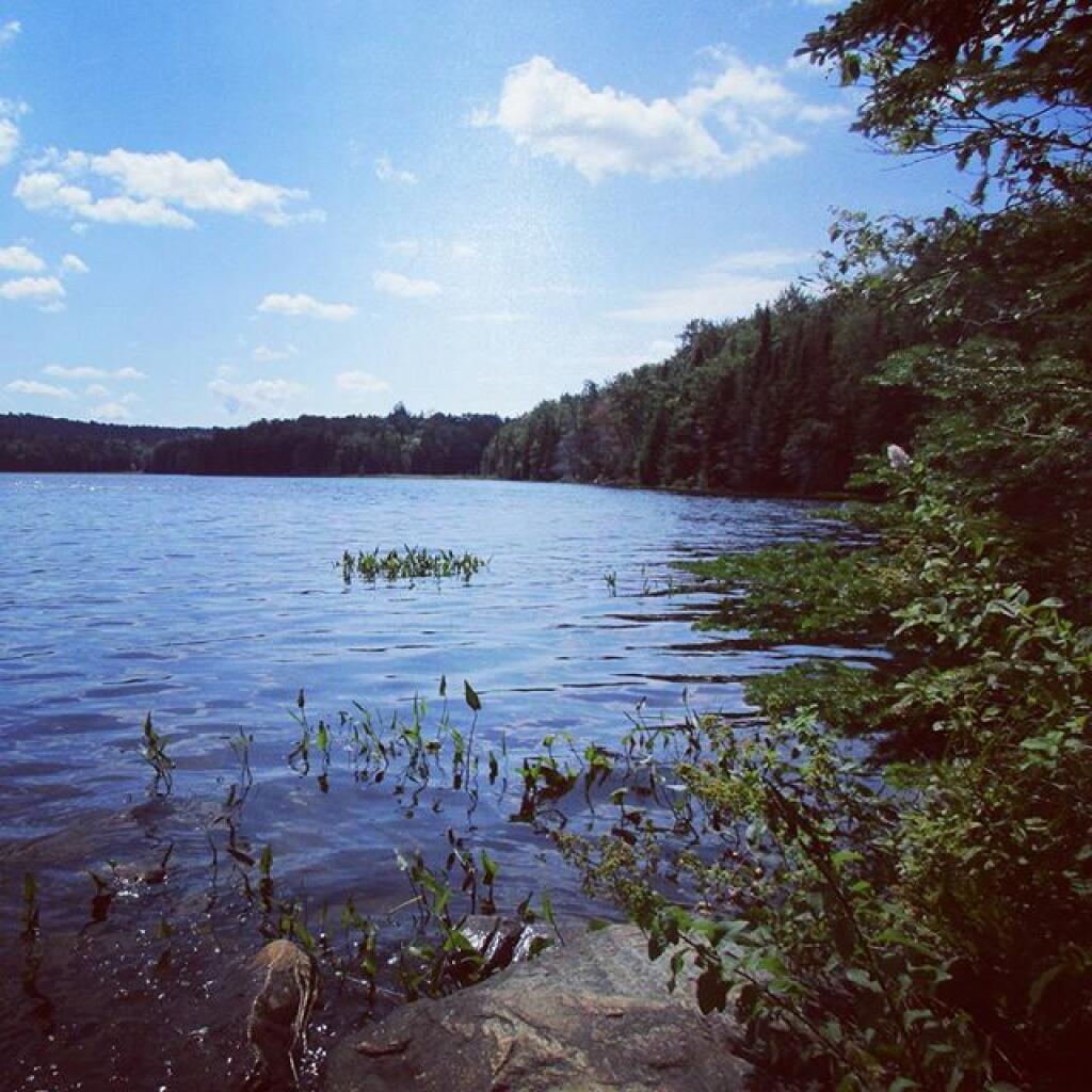 Photo: Sand Lake
