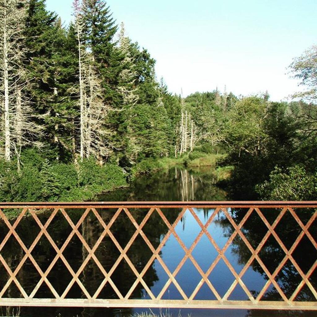 Photo: Powley Bridge