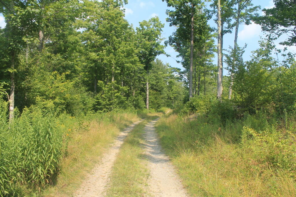 Photo: Betty Brook Road is as Rough as Always