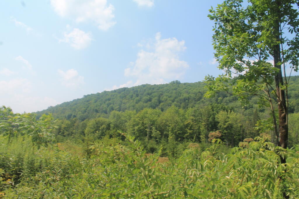 Photo: Burnt Hill