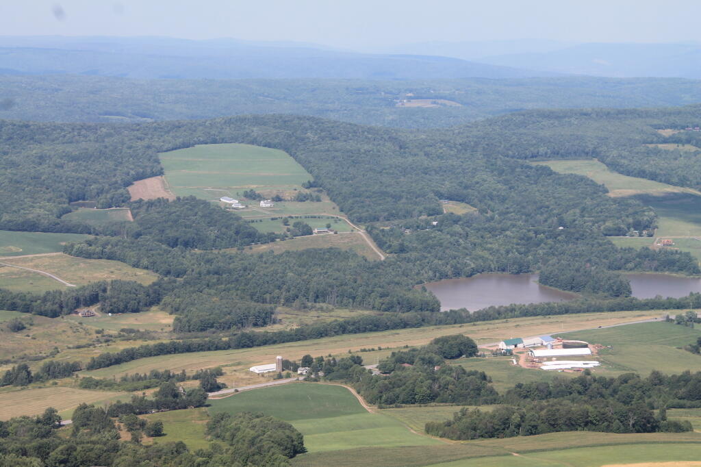 Photo: Moore Hill