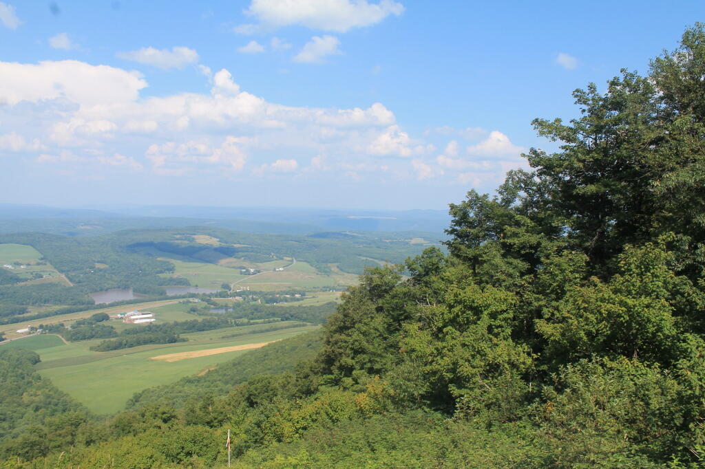 Photo: Nice Day