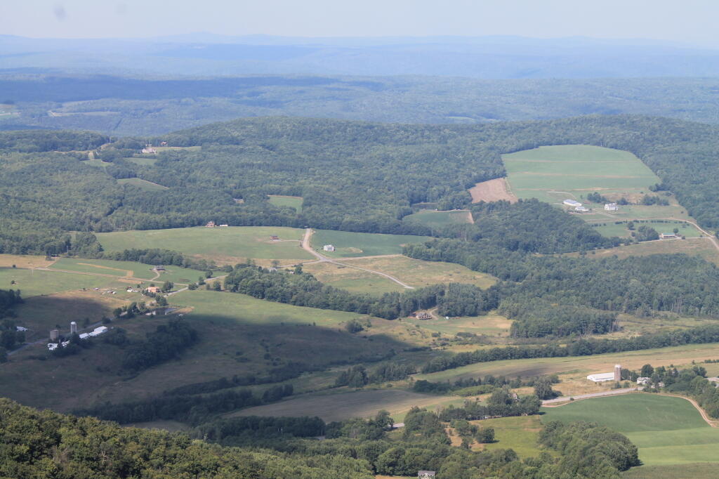 Photo: Towards Burnt-Rossman State Forest
