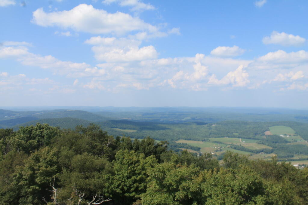 Photo: Blue Skies
