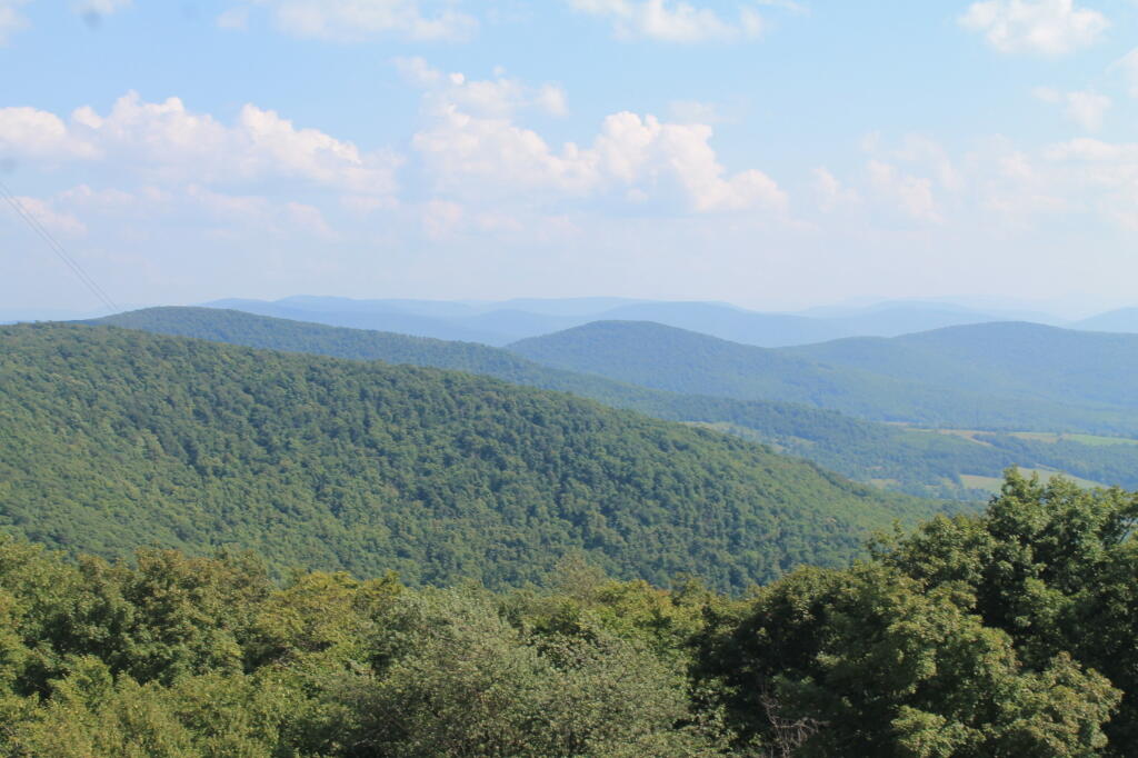 Photo: Mooreville Range