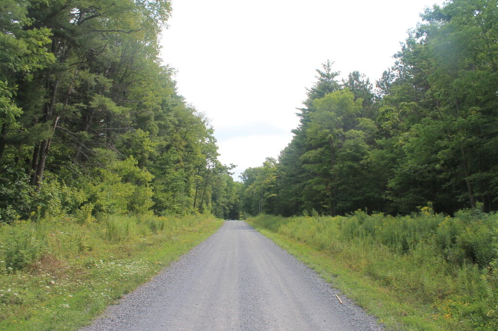 Photo: Rossman Hill Road