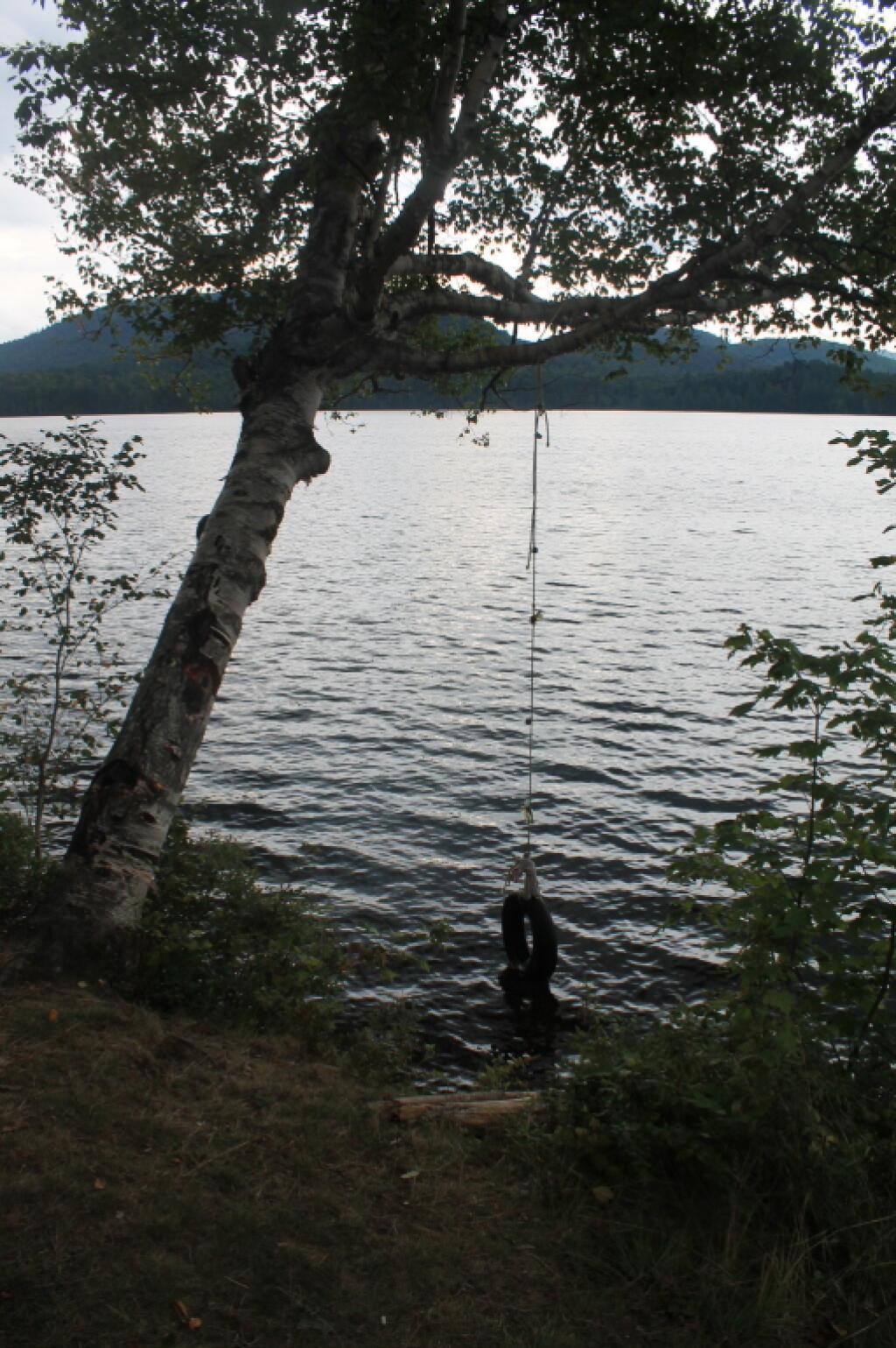 Photo: Tire Swing