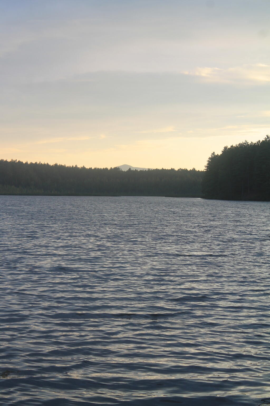 Photo: Lakes Edge of Jones Pond