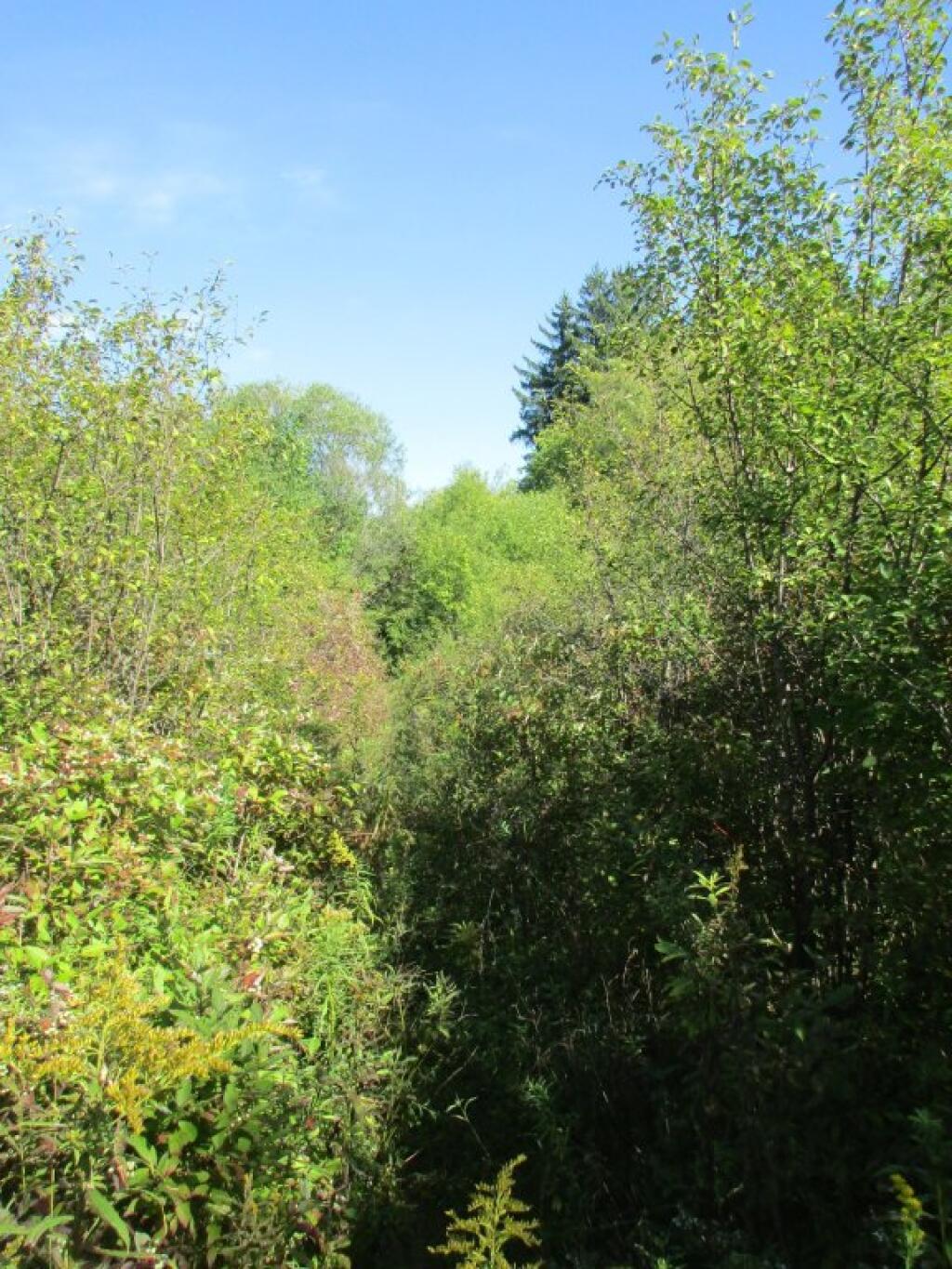 Photo: Herd Path Shown On DEC Map