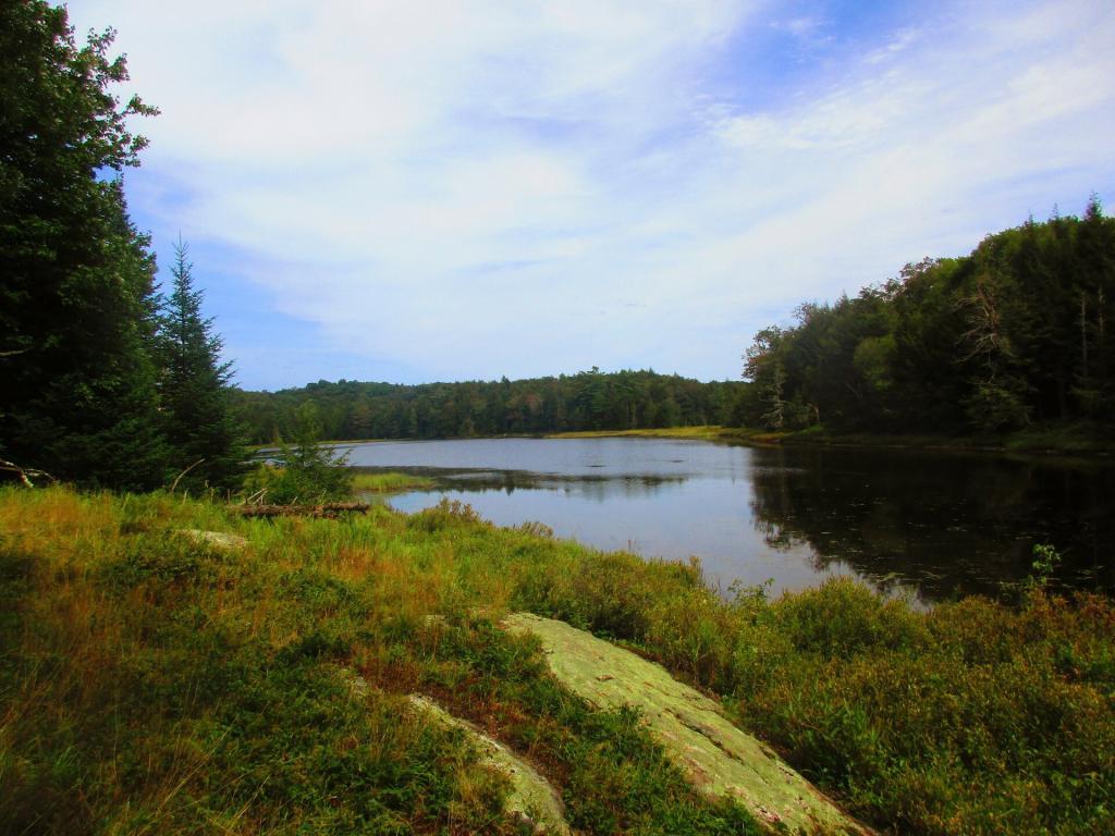 Photo: Waters Mill Pond